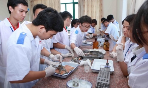 Phát triển các trường đại học, cao đẳng ngoài công lập